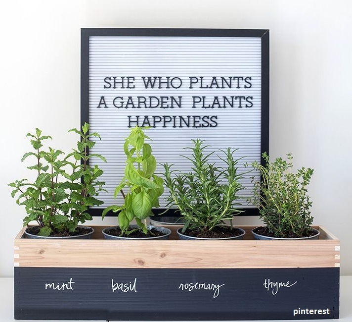 Décorez une jardinières avec ses plantes ou ses herbes préférées. Idéal pour le placer dans la cuisine ou dans sa chambre à coucher. C'est un cadeau original pour la fête des mères