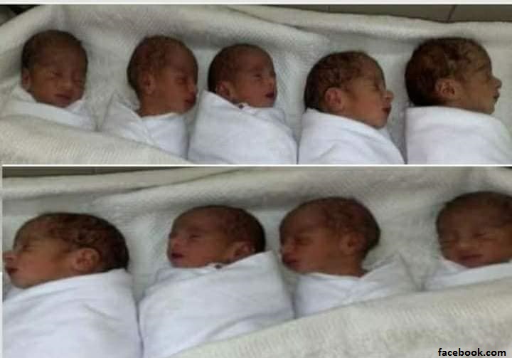 Les quatres garçons et les cinq fille d'Halima Cissé qui a accouché de neuf bébés au Maroc